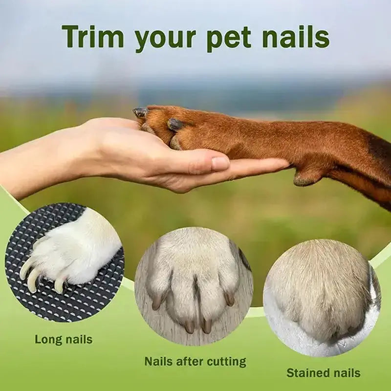 Professional Pet Nail Clippers with LED Light and Integrated Nail Grinder – Dual-Function Trimmer for Dogs and Cats, Featuring Illuminated Blade, Low Noise Electric File, Safety Guard, and Nail Catcher | Ideal Grooming Tool for Pets of All Sizes